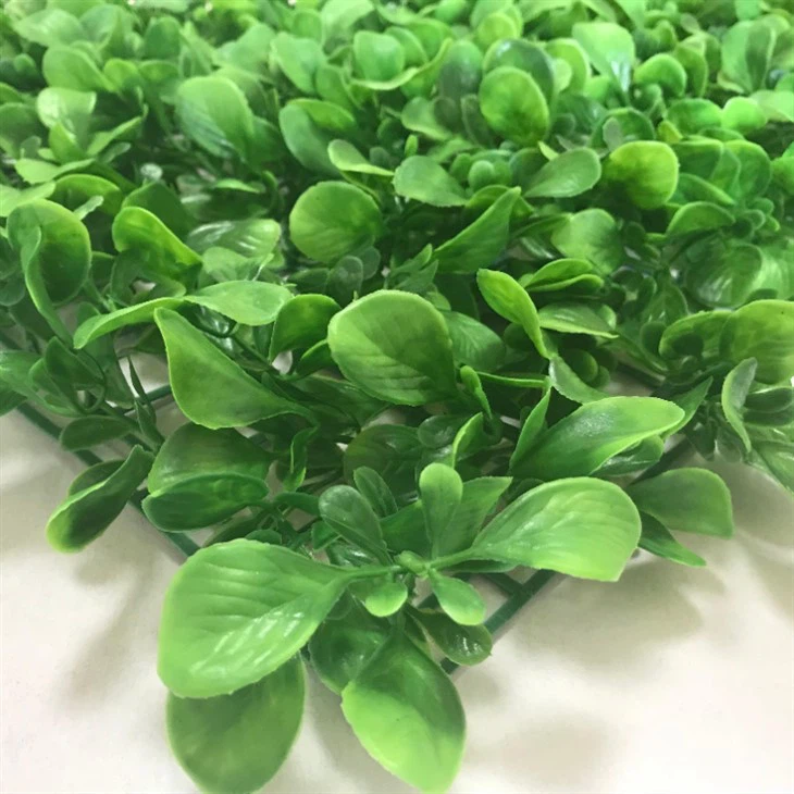 Artificial Plant Wall - Chinese Small Cabbage (1)